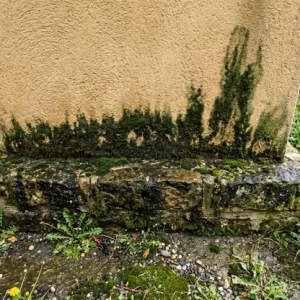 facade-crepi-detail-mousse-lauragais-01