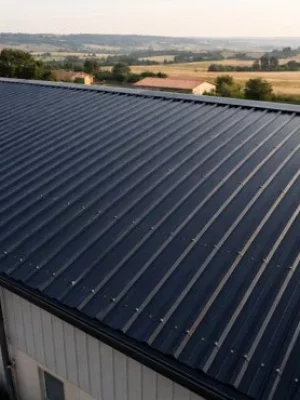 Un toit en bac acier nettoyé